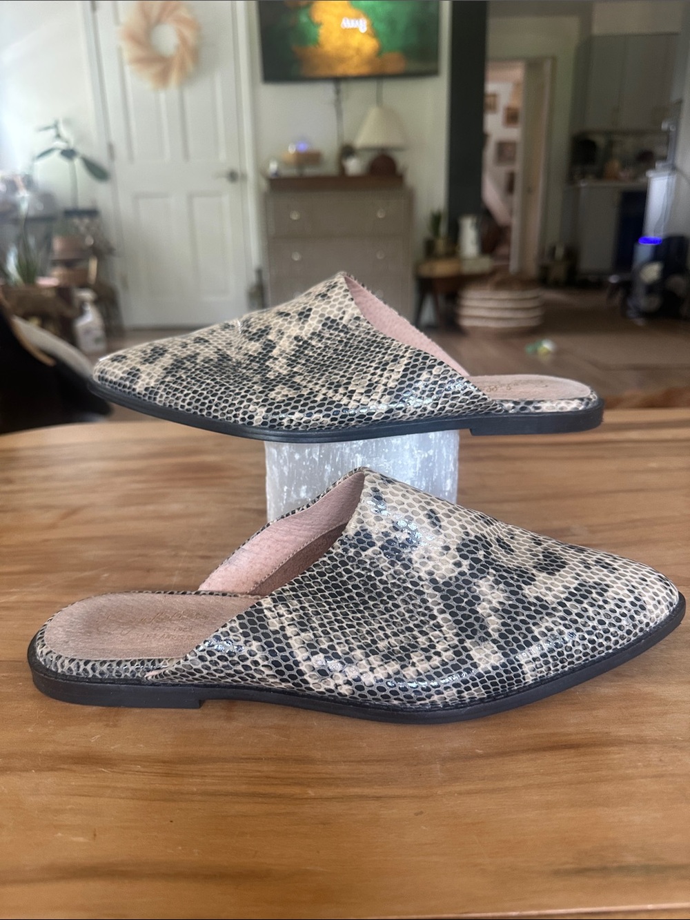 Seychelles Snake-Print Pointed Toe Mule in Beige and Black. Size 9. Like new